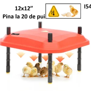Incalzitor automat pentru ingrijire pui cu LED pina la 20 pui - I54